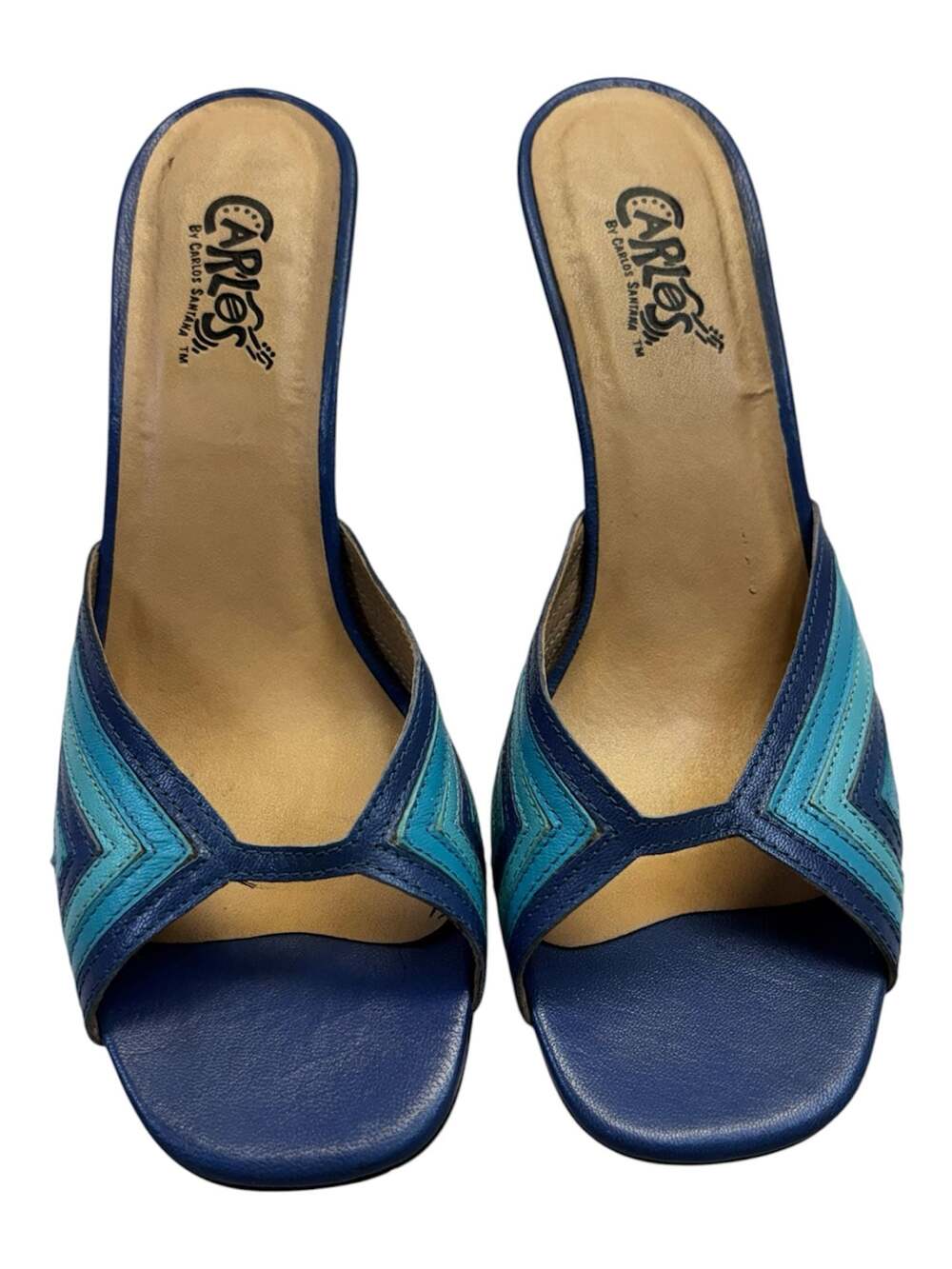 Carlos by Carlos Santana Blue Multi-Stripe Leather Heeled Mules